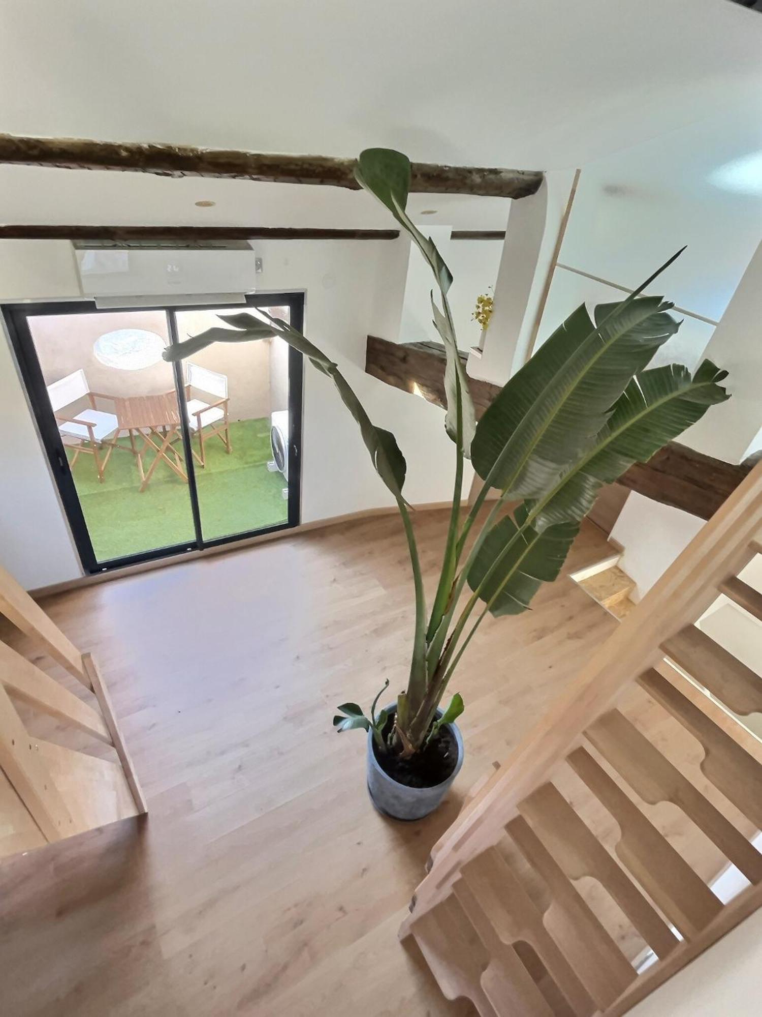 Jungle Loft Beziers Centre Appartement Buitenkant foto