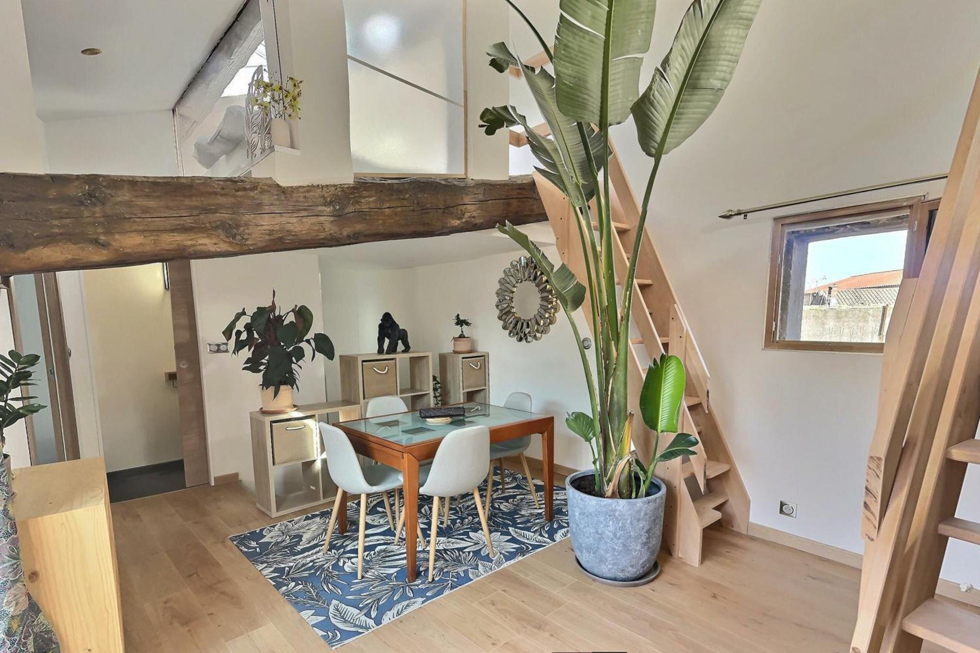 Jungle Loft Beziers Centre Appartement Buitenkant foto